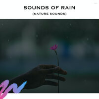 Soft Rain Sounds (Loopable) - Rain Radiance & Rain Noise Sleep & RAIN SLEEP SOUNDS