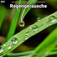 Regengeräusche, pt. 55 - Regen zum Einschlafen und Durchschlafen & Schlafmusik & Entspannungsmusik