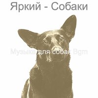 Музыка (Спящие собаки) - Музыка для собак Bgm