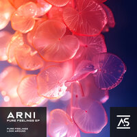 Look Around - Arni