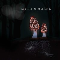 Blind Melancholy - Myth