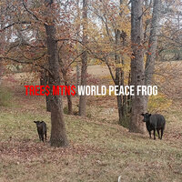 MoonLight$ - World Peace FroG