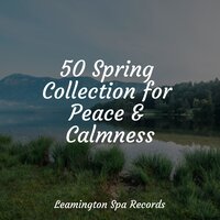 Healing Sounds - Classical Lullabies & Namaste Yoga & Rain Hard