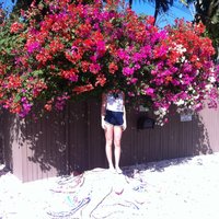 Things Lost - Elf Power