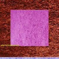 City-Bred Swine - Sink Tapes