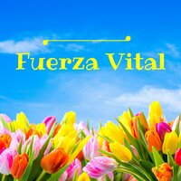 Serenidad - Fuerza Positiva