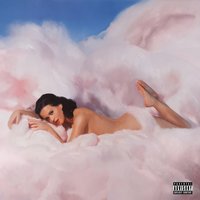 If We Ever Meet Again - Timbaland & Katy Perry