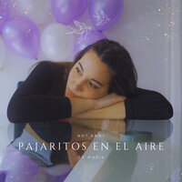 Pajaritos en el Aire - Not Andy & Cr Musik
