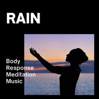 Focus Rain Sound - Calming Music For Pets & Dogs music & Music For Your Dog