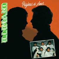 Negro y Blanco - Illimani