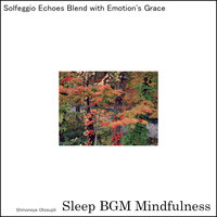 Embracing the Ebb and Flow of Emotional Currents - Sleep BGM Mindfulness