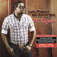 Que te ha hecho creer - luis miguel del amargue