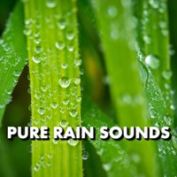 Exquisite Sunrise Rain Sounds - Deep Sleep
