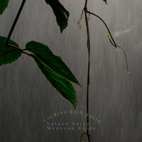 Looking at the Monsoon - Nature Noise – Monsoon Rains