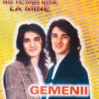 Ma gandesc de multe ori - Gemenii