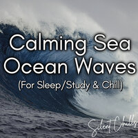 Calming Ocean Waves - Part 99 - Silent Chills