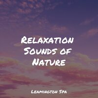 A Time for Relaxation - Sleeping Music & Meditative Music Guru & Fresh Water Sounds for Inner Peace
