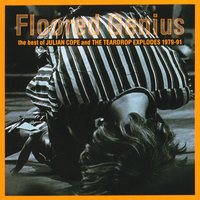Reward - The Teardrop Explodes
