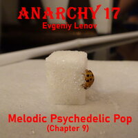 Night Wind - Anarchy17 & Evgeniy Lenov