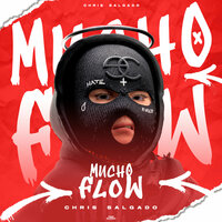 Mucho Flow - Chris Salgado