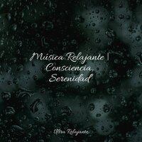Sueño Astral - Academia de Relaxamento e Meditação & Master Meditação & Musica Relajante Piano Master