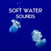 Bird Song - Relaxing Sounds of Nature
