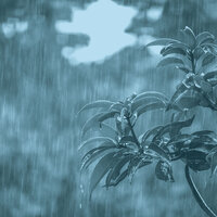 Atmospheric Music for Mental Clarity - Rain and Thunder Sounds Retro