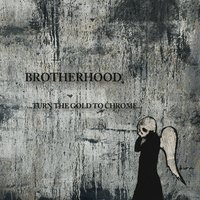 Question and Answer - Brotherhood