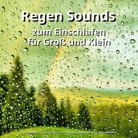 Gegen Schlafstörungen - Regengeräusche zum Einschlafen Franco Rodewig & Regengeräusche & Naturgeräusche