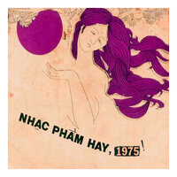 Nẻo Đường Quê Hương - Phương Phạm Guitarist