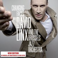 Deep Night - David Linx & The Brussels Jazz Orchestra