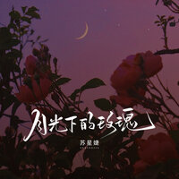 月光下的玫瑰 - 苏星婕