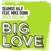Disco Dreams - Seamus Haji & Mike Dunn