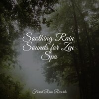 Calming Ocean - Lluvia PQ & Deep Sleep Relaxation & Sleep Sounds Of Nature