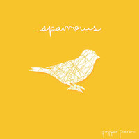 Songwriter's Interlude - Pepper Pieroni