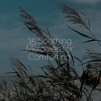 Instrumental Illuminations - Study Zone & Sound Sleeping & Tinnitus Aid
