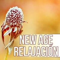 Hatha Yoga - Relajación Música Fondo Conjunto
