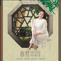 梅花泪 - 周虹