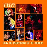 Polly - Nirvana