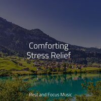 Loving Whispers - Sleepy Times & Mindfulness Mediation World & Ambiente