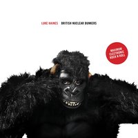 Bunker Funker - Luke Haines