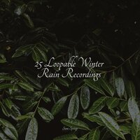 Easy Droplets - Rain Sounds Sleep & Rain Spa & 125 Nature Sounds