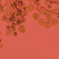 Моменты (Спать) - Музыка для сна Ритмы