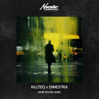 Now You're Gone - KILLTEQ & DIMESTRIX