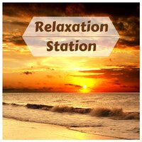 Next to the Sea - Oceanscapes