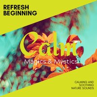 Control on Senses - Power Yoga Nature Sounds