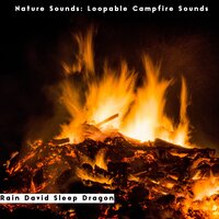 Soothing Fireplace Sound - Rain David Sleep Dragon
