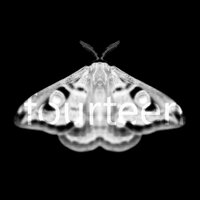 Dark Project - Bilro & Martyn Hare & Barbosa