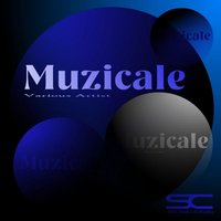 Musical Feeling - Deejay 2MI