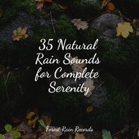 Crackling Campfire - White Noise for Babies & Meditação Yoga & Sol y Lluvia